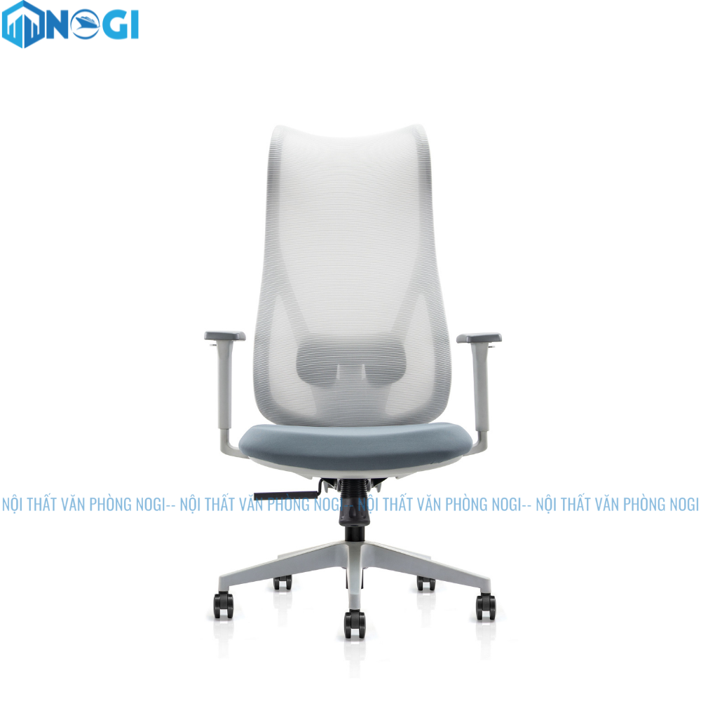 Ghế Công Thái Học Reno GD49